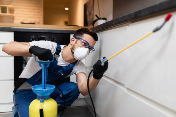 Best Wildlife Control Services  in Chauvin, LA