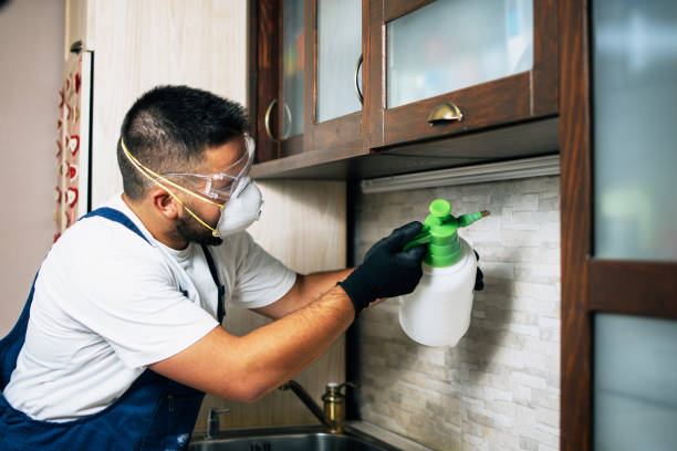 Reliable Chauvin, LA Pest Control Solutions