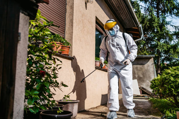 Best Affordable Pest Control Services  in Chauvin, LA