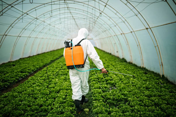 Best Insect Control  in Chauvin, LA