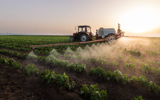 Insect Control in Chauvin, LA