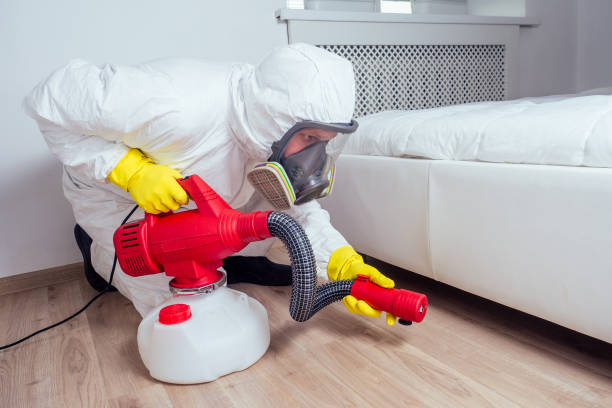 Best Local Pest Control Services  in Chauvin, LA