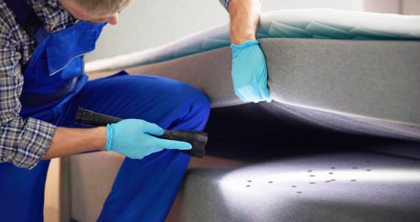 Best Best Pest Control Companies  in Chauvin, LA