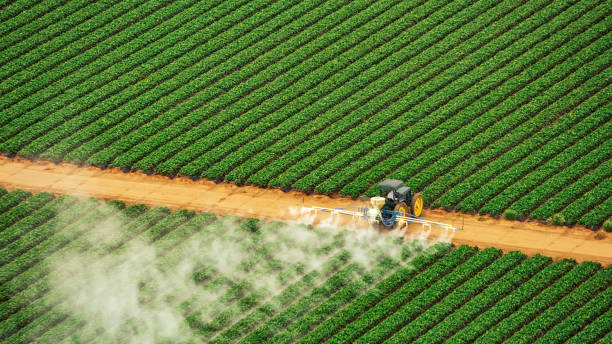 Best Commercial Pest Control Services  in Chauvin, LA