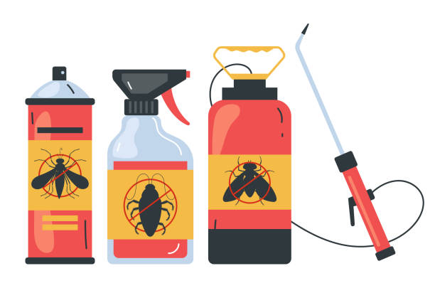 Best Termite Control Services  in Chauvin, LA
