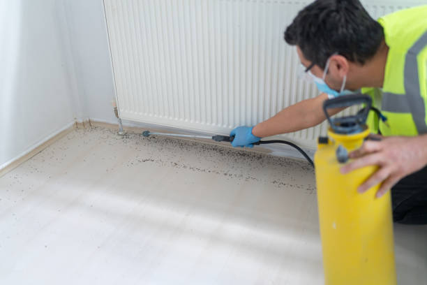 Pest Control Cost in Chauvin, LA
